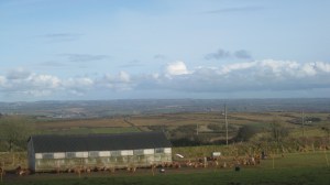 farm-shop-cornwall farm shop west cornwall penzance