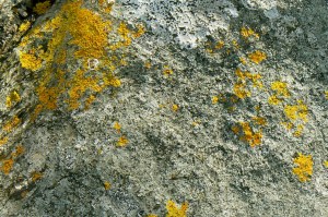 battery rocks penzance 