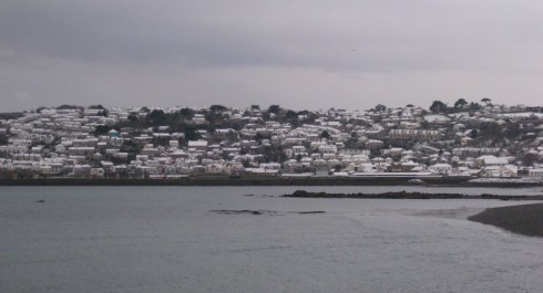 snow penzance cornwall morrab garden