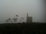 mizzle in west cornwall –&nbsp;3