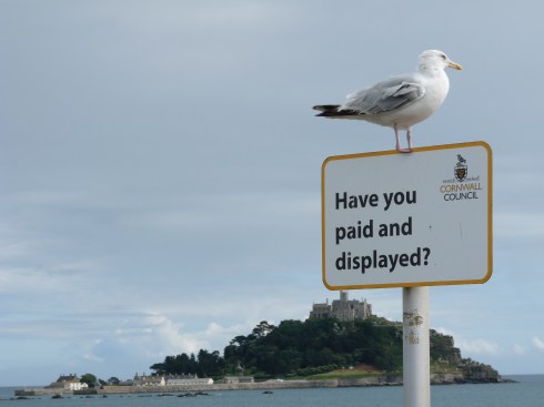 seagullparking